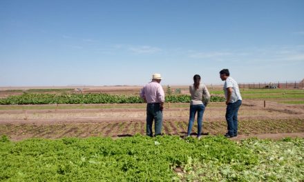 Programa de Desarrollo de Proveedores fortalece gestión de agricultores del Tamarugal