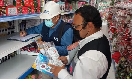 Seremi de Energía y SEC fiscalizaron venta de luces navideñas