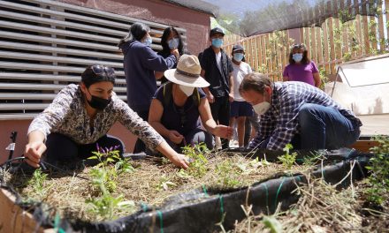 Vecinos y estudiantes de San Pedro de Atacama  recibieron clase magistral de permacultura