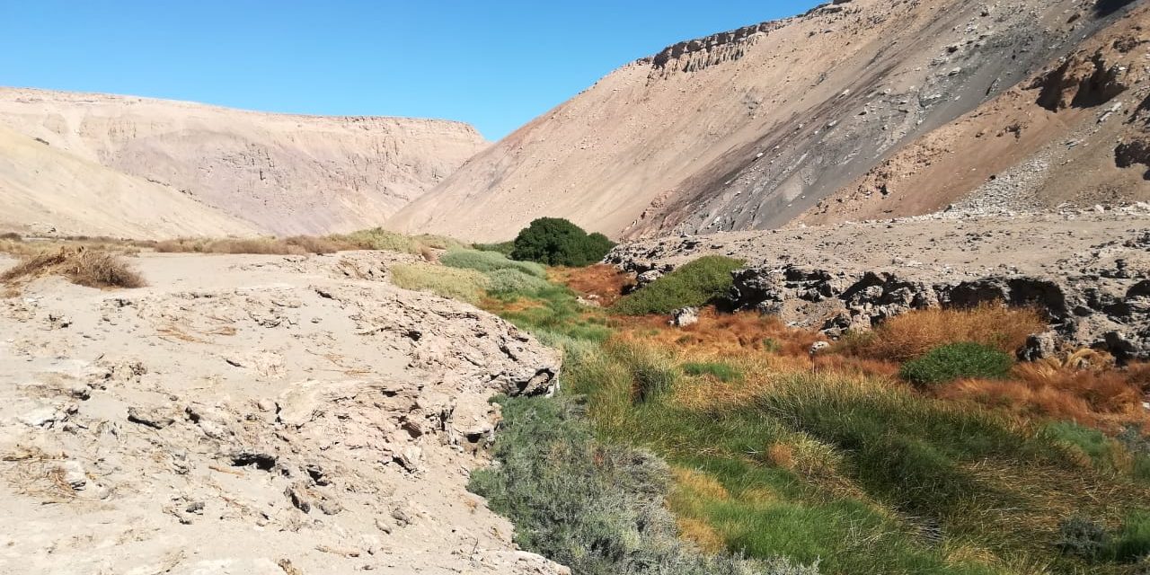 Consejo de Ministros para la Sustentabilidad aprueba Santuario “Ojo de Opache” en Calama