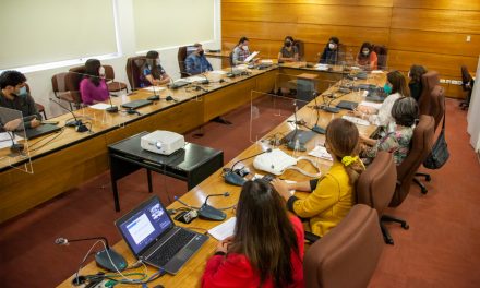 Derecho a cielos limpios, salud y democratizar la divulgación de la ciencia: Las propuestas de expertos de la UA a Convencionales Constituyentes