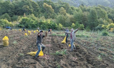 Un reconocimiento a las buenas prácticas en los territorios