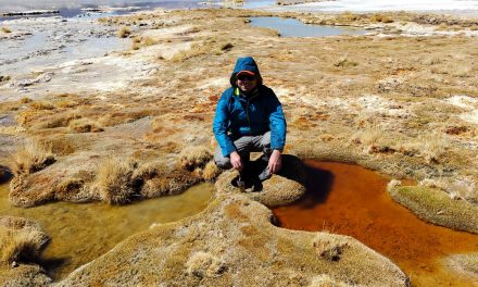 Microbios presentes en plantas del desierto de Atacama son claves para enfrentar la sequía