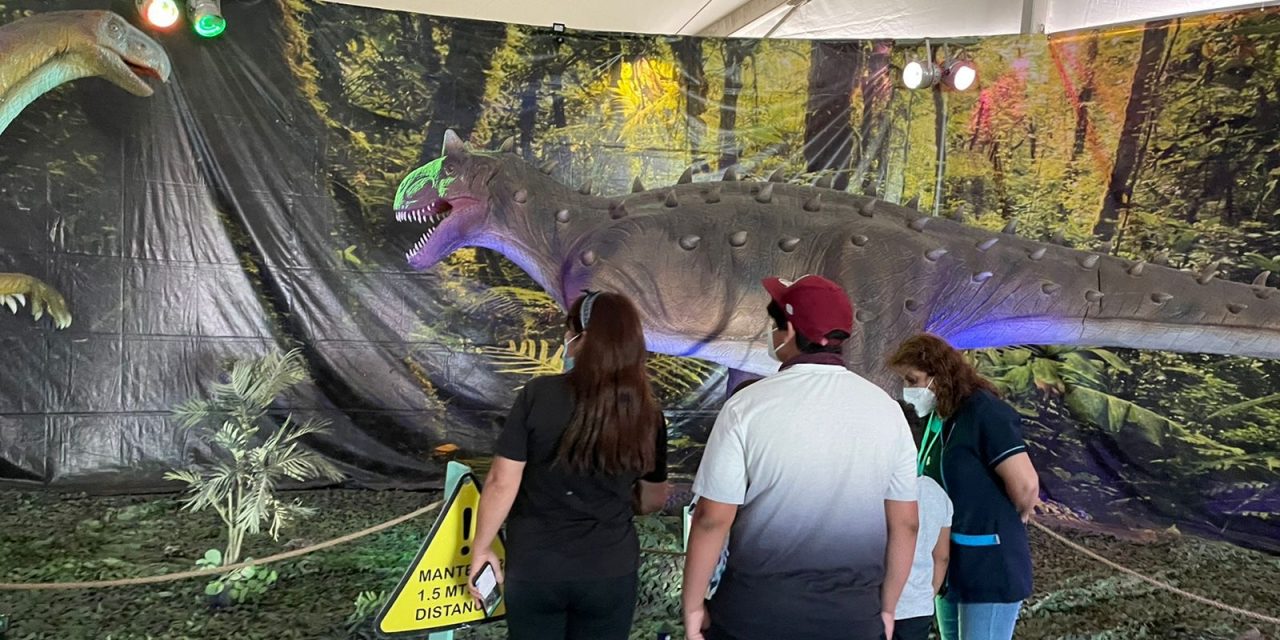 Diversos grupos de interés comunitarios visitaron Puerto Antofagasta y su Expo Dinosaurios en Sitio Cero