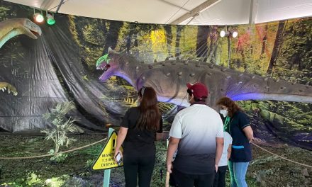 Diversos grupos de interés comunitarios visitaron Puerto Antofagasta y su Expo Dinosaurios en Sitio Cero