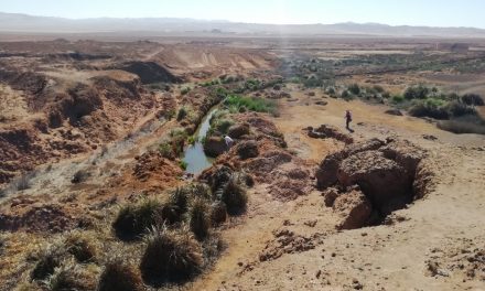 Ministerio del Medio Ambiente reconoce humedal urbano Salar del Carmen en la comuna de Antofagasta