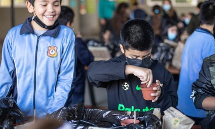 LANZAN PROGRAMA DE EDUCACIÓN AMBIENTAL EN TOCOPILLA