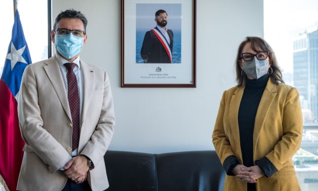 Ministros de Minería y Ciencia establecen estrategia de fomento y priorización del litio y salares