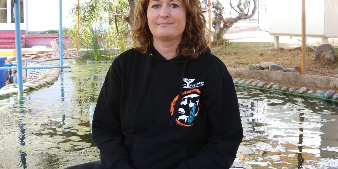 Investigadora de la UA y su lucha por proteger las ballenas  en Mejillones: “Hemos hecho algo que traspasa las fronteras”