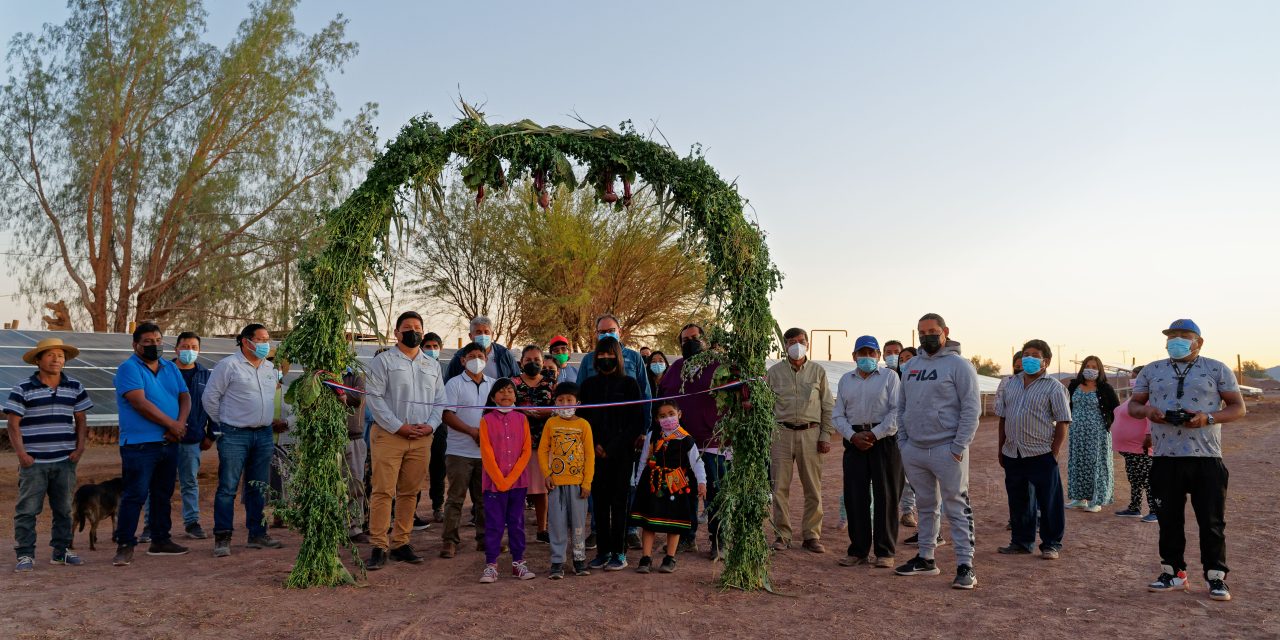 Agricultores de la Colonia Agrícola de Pintados inauguran sistema fotovoltaico para optimizar cultivos