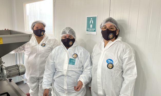 Gracias al apoyo de instituciones gubernamentales Cooperativa Olivícola de Taltal trabaja para alcanzar la exportación