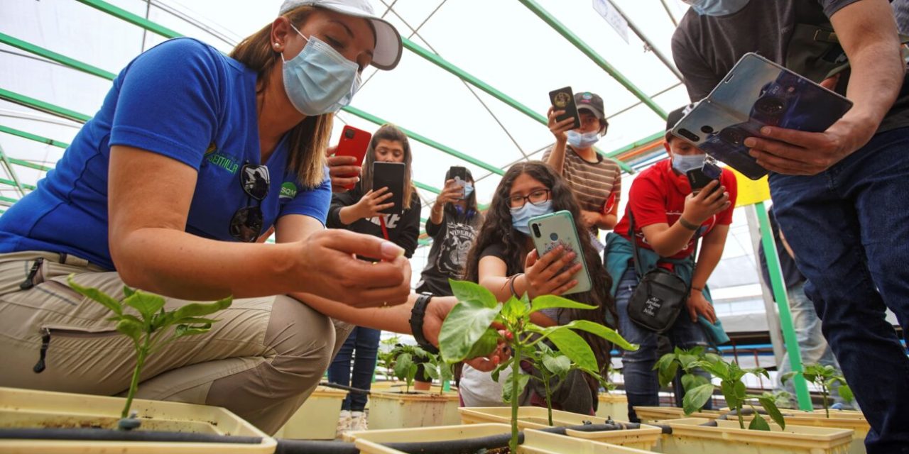 Con el 1er Encuentro de Innovación y Emprendimiento Agropecuario de Tarapacá conmemorarán el Día Nacional del Campesino