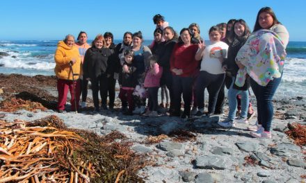 ComunidadMujer premia 11 proyectos innovadores de todo Chile que promueven la igualdad y autonomía de las mujeres