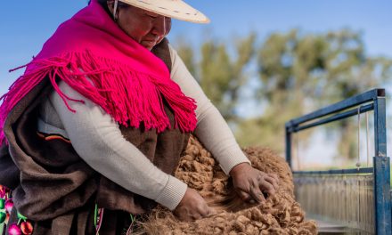 Programa de Internacionalización de Pueblos Originarios beneficia a destacadas artesanas de Tarapacá