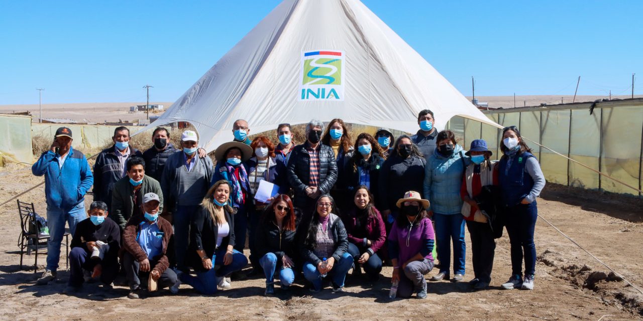 CORES conocen avances de proyecto FNDR para el control de maleza que impide la agricultura en las tierras de la Provincia El Loa