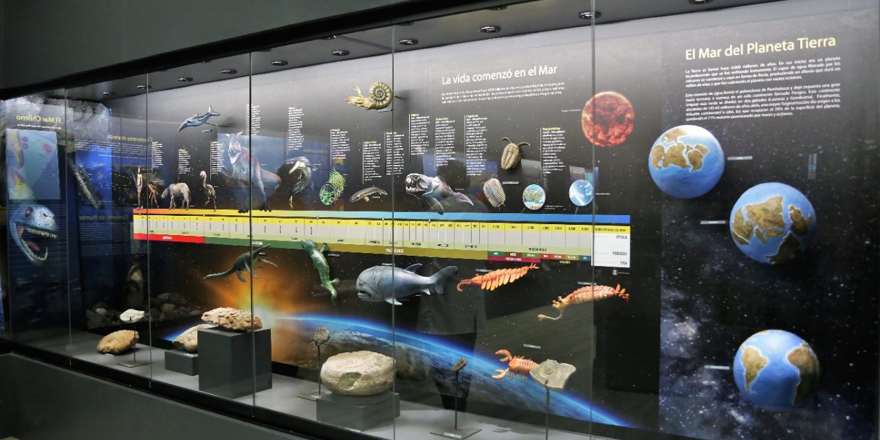 Museo del Mar: el nuevo espacio cultural que  inaugurará la UA en antigua casona salitrera