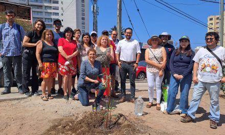 Seis proyectos ciudadanos resultaron ganadores del Fondo de Protección Ambiental en la Región de Antofagasta