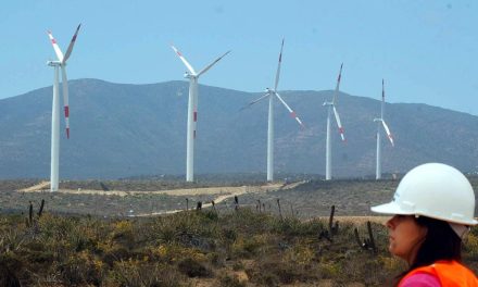 Seminario buscará dar realce al rol de las  mujeres en el desarrollo energético regional