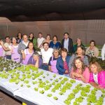 Agricultoras de Caleta Urco implementarán innovador sistema energético para producción hidropónica 