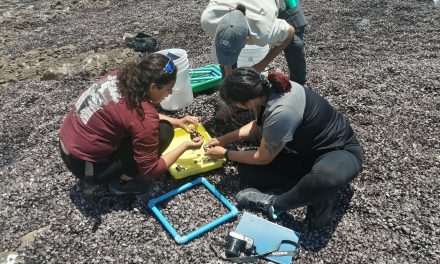Investigación científica generará el primer censo de la vida marina de la Región de Antofagasta