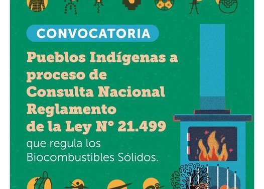 El Ministerio de Energía encabezará su Primera Consulta Indígena en el marco de la confección del Reglamento de la Ley de Biocombustibles Sólidos