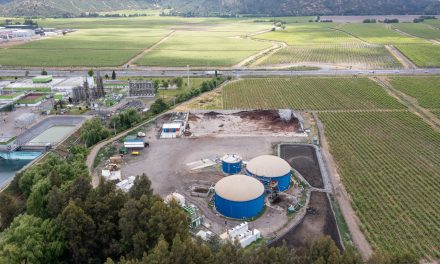 VSPT Wine Group recibe reconocimiento en Premios Cero Basura 2023 por destacada iniciativa de economía circular en planta de biogás
