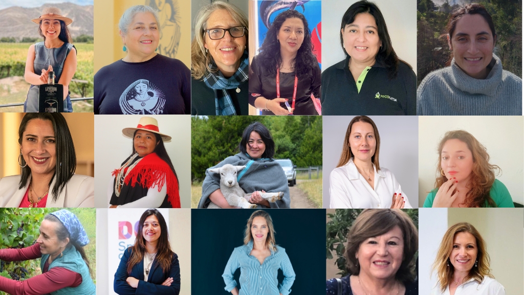 ProChile distingue a empresaria regional y otras 15 mujeres líderes exportadoras