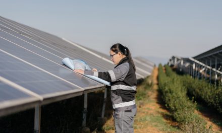 El 62% de los ejecutivos espera llegar a la neutralidad de emisiones en 2060