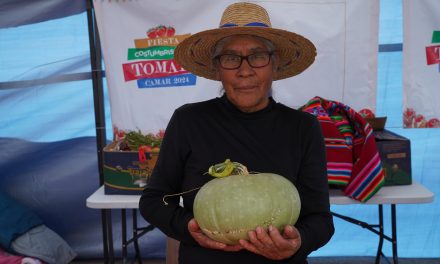 Camar celebró la 3ra versión de la Fiesta  Costumbrista del Tomate en una multitudinaria jornada