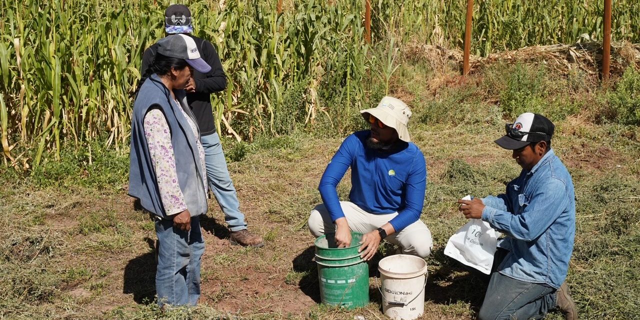 Programa ATF de SQM Litio comenzó la toma de muestras de suelos de terrenos de 13 agricultores de San Pedro de Atacama