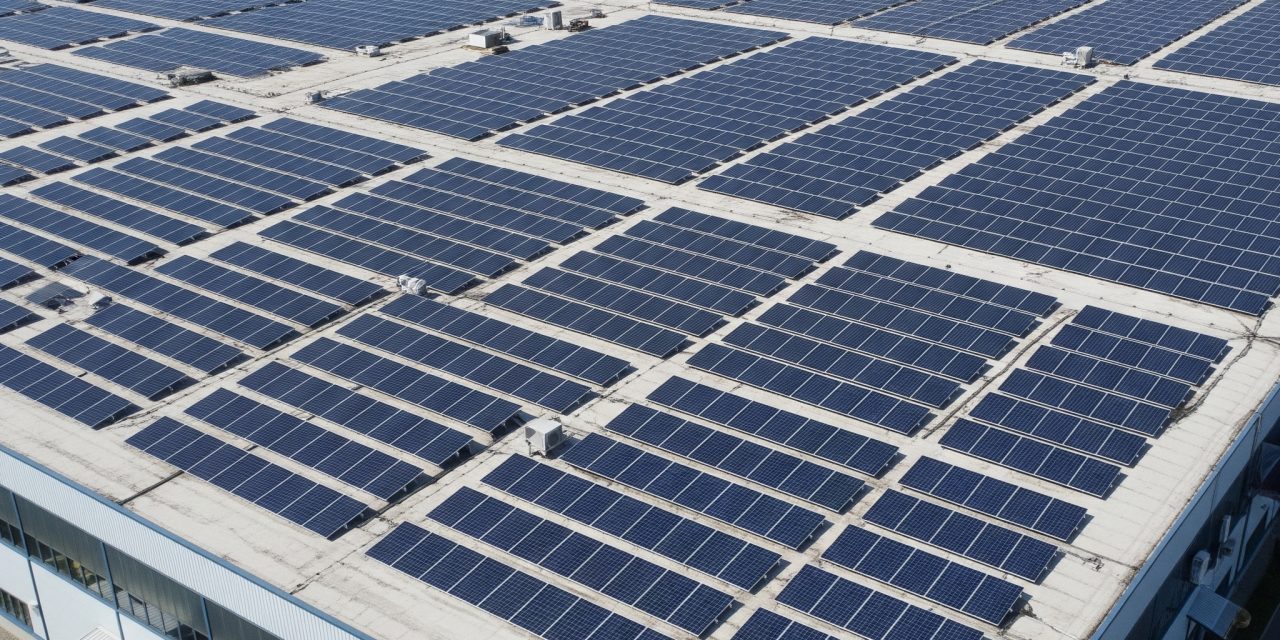 Paneles solares: mitos, ventajas y cómo pueden implementarlos las empresas