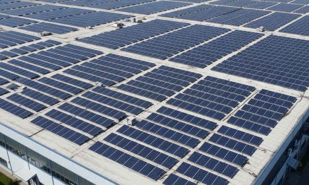 Paneles solares: mitos, ventajas y cómo pueden implementarlos las empresas