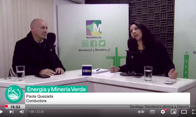 Entrevista a Pablo Lobos, gerente de desarrollo de competencias CEIM