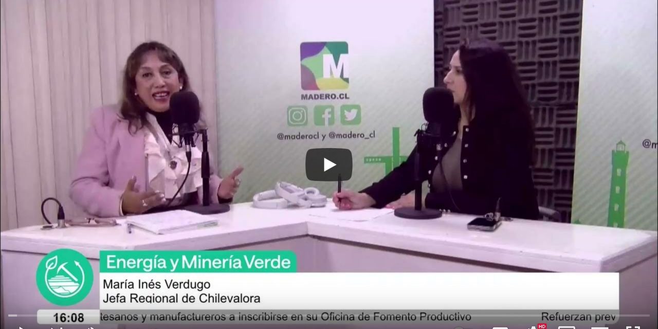 Inés Verdugo, Jefa regional de Chilevalora