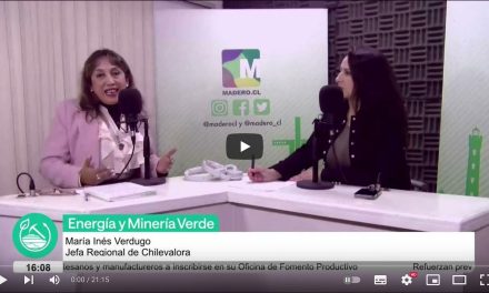 Inés Verdugo, Jefa regional de Chilevalora