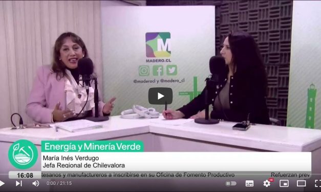 Inés Verdugo, Jefa regional de Chilevalora