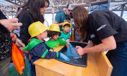 JUGANDO A SER MINERA Y MINERO: LA INDUSTRIA EN MANOS DE LA INFANCIA REGIONAL