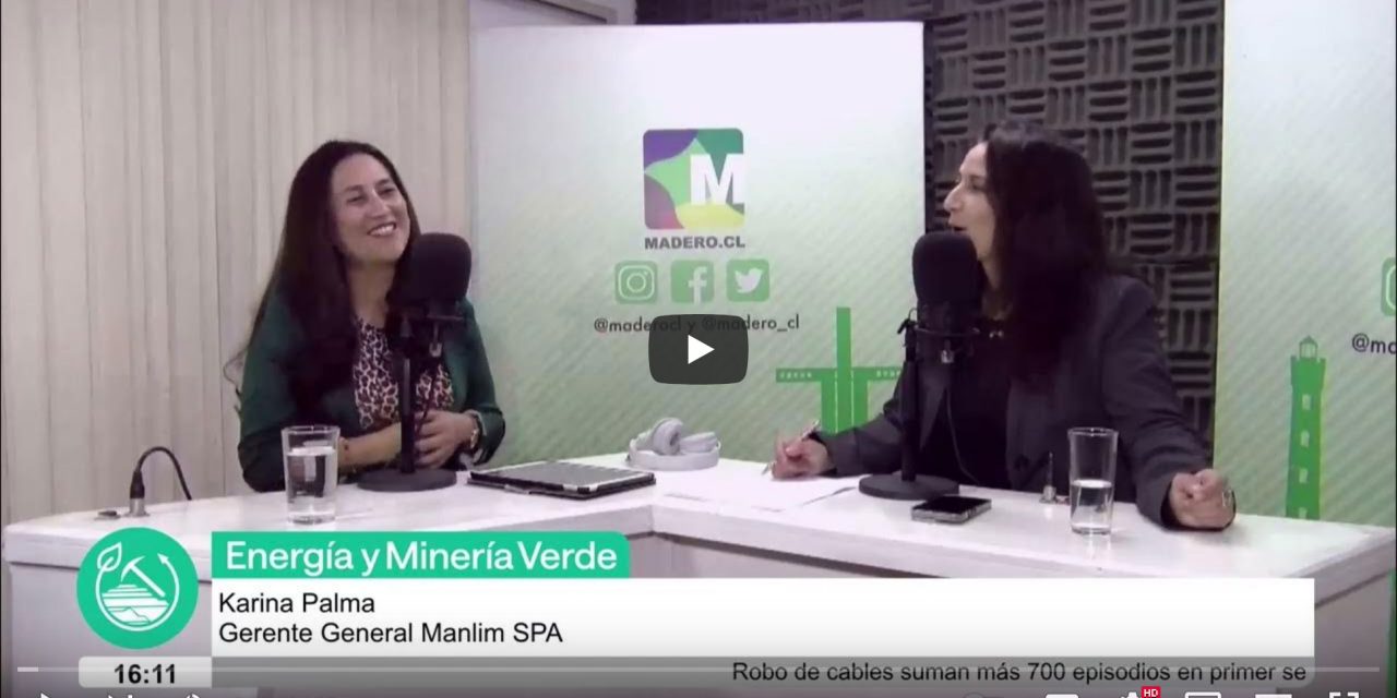 Karina Palma, Gerente General Manlim SPA