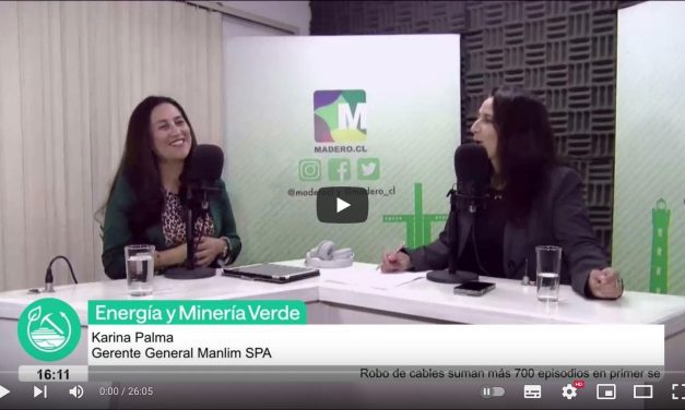 Karina Palma, Gerente General Manlim SPA