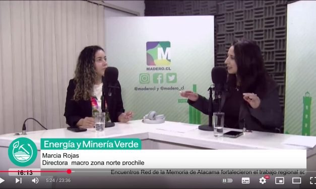 Marcia Rojas, Directora Regional Zona Norte de Prochile