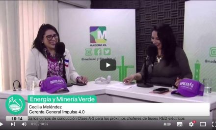 Cecilia Meléndez, gerenta general de Impulsa 4.0. Chile líder mundial en inserción femenina en minería 23,1%
