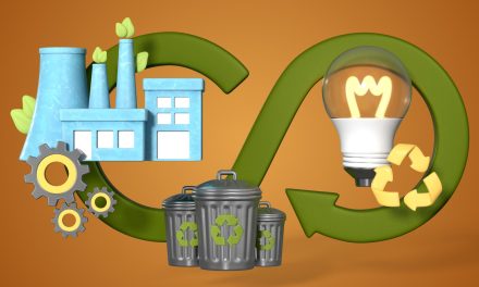 De residuos a recursos: cómo algunas industrias replantean su impacto ambiental