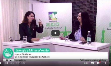 Hanna Goldener, Seremi Mujer y Equidad de Género