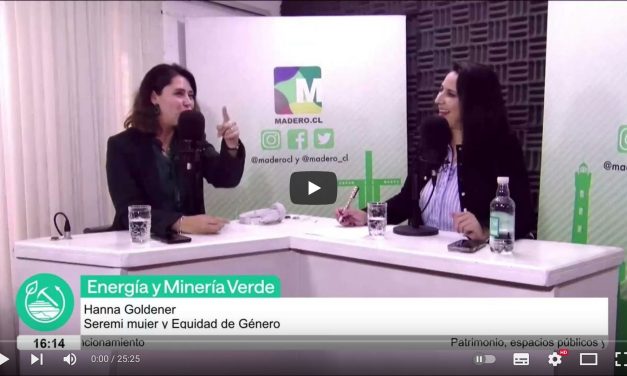 Hanna Goldener, Seremi Mujer y Equidad de Género