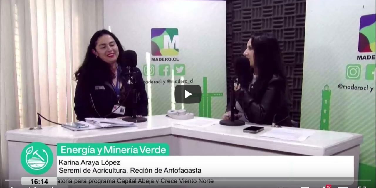Karina Araya López, Seremi de Agricultura, Región de Antofagasta