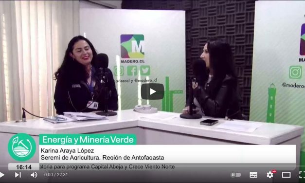 Karina Araya López, Seremi de Agricultura, Región de Antofagasta